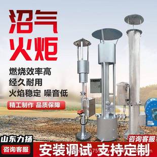 养猪场沼气火炬沼气微型小火炬养殖场沼气火炬黑膜池沼气火炬