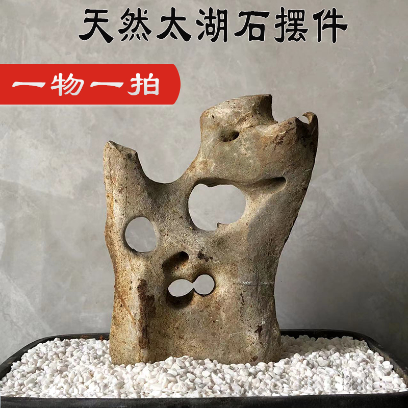 太湖石 假山盆景石头小鱼缸造景附石观赏石天然石材抱石