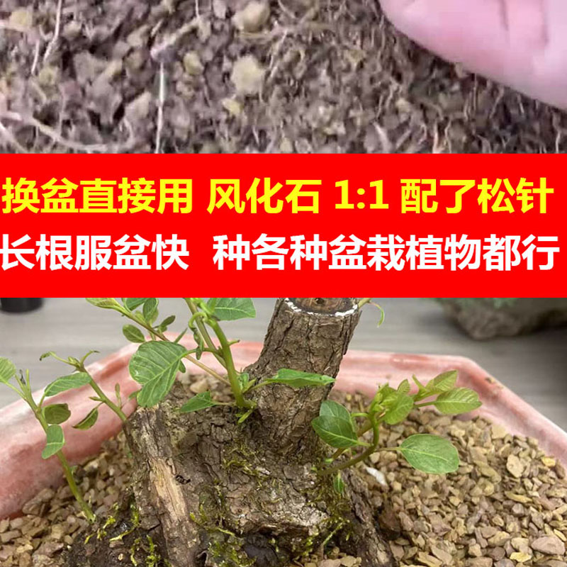 翻盆换土松针腐叶配风化石营养混合颗粒土大包装60斤再送2个小包