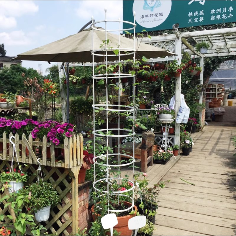 花架爬藤架月季花盆支撑支架柱形架子蓝雪花蟹爪兰藤架固定攀爬杆