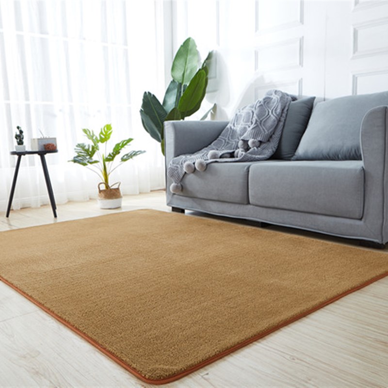 加厚超柔棉绒客厅茶几沙发地毯卧室床边地毯满铺可机洗定制