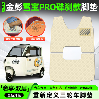 适用【金彭雪宝PRO碟刹款】脚垫