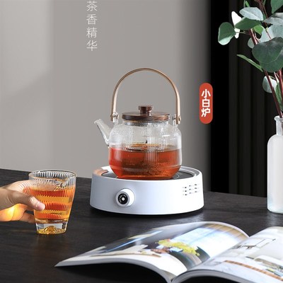 出口110v小家电电陶炉家用烧水煮茶炉耐高温养生煮茶壶蒸煮茶器