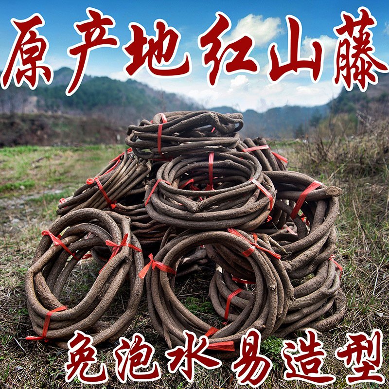 树藤枯藤藤条藤蔓植物葡萄叶缠绕造景阳台管道装饰商务礼品绿植