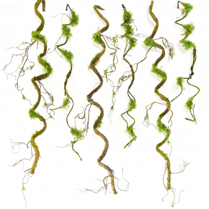 仿真枯树藤条干树藤弯曲造型假树枝装饰缠绕藤蔓植物装饰造景树枝