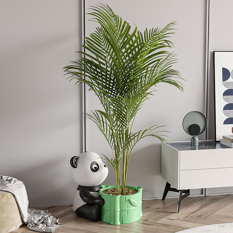 爱熊猫室内绿植大客厅落地玄关卧室大盆乔迁新居礼品,家居饰品,落地摆件,淘宝优惠券,粉丝福利购,淘宝优惠卷