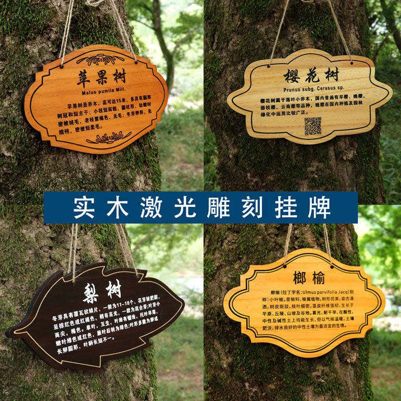 定制实木树牌挂牌树木认养牌园林绿化创意标识牌树名牌简介牌
