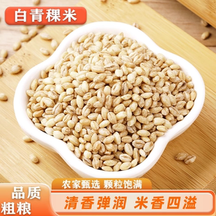 优质白青稞米新米正宗杂粮低脂粗粮白青稞米粒五谷米大麦粒青稞米