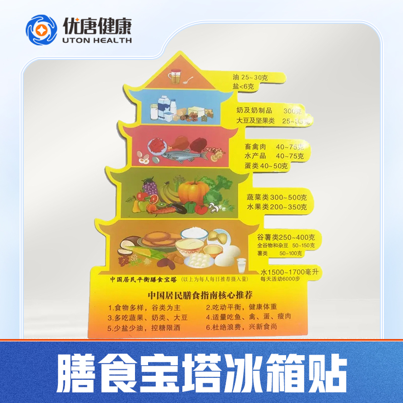 磁吸中国居民膳食指南膳食宝塔厨房冰箱贴糖友营养