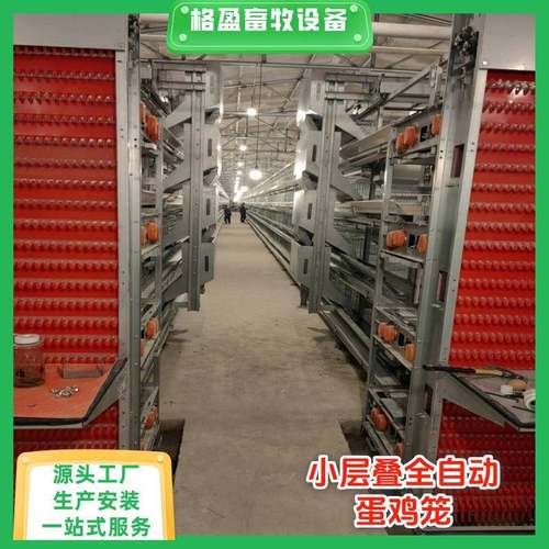 H型小层叠蛋鸡笼热镀锌层叠式鸡笼框架全自动化蛋鸡养殖设备