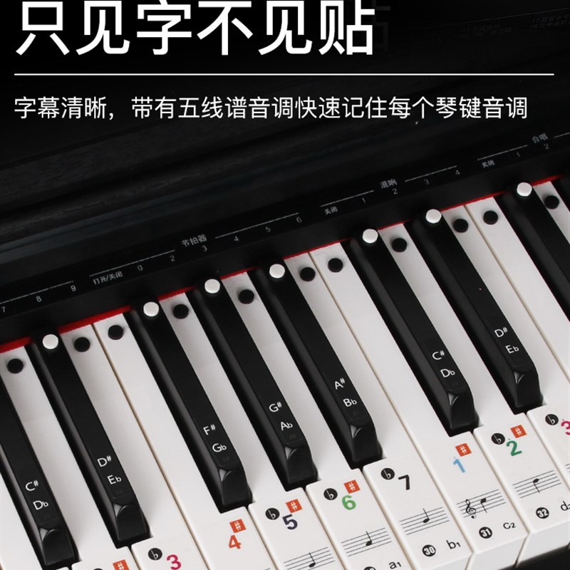 88/61/54键通用电子琴手卷钢琴琴贴钢琴键盘贴纸五线谱简谱键位贴