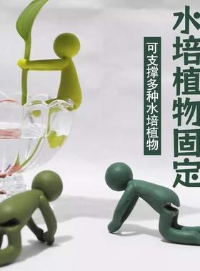 新型水培植物生长配套水培容器傅正飞之桌面装饰固定形抗倒伏叶