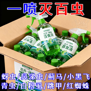 百虫清盆栽家用除虫剂除虫剂红蜘蛛蚜虫蔬菜植物花卉白粉虱室内