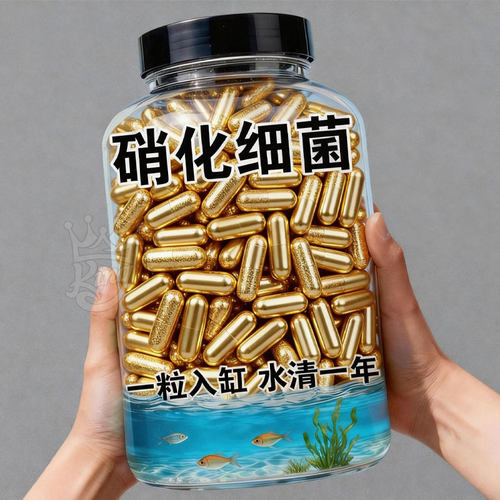 鱼缸硝化细菌胶囊净水除粪便