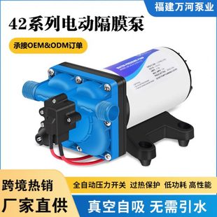 12V24V直流电动静音四腔隔膜泵灌溉自吸抽水泵房车游艇增压泵 42款