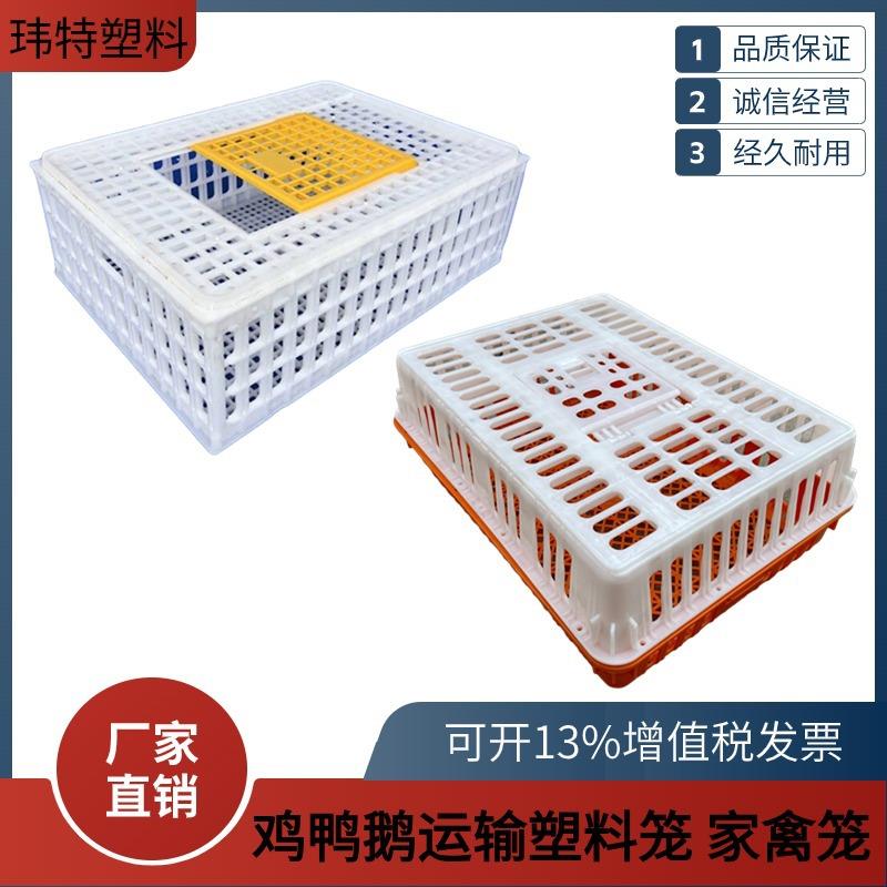 元宝形塑料鸡笼加厚10斤塑料鸡笼家禽运输方形塑料鹅笼加厚鸭笼