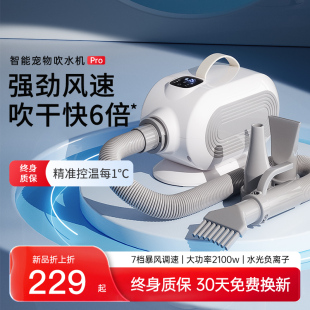 宠物吹水机狗狗专用洗澡烘干机大功率吹I风机家用猫咪静音吹毛神