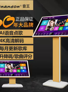 InAndOn音王点歌机KV-i5/V5分体机家庭KTV点唱机K歌卡拉OK一体机