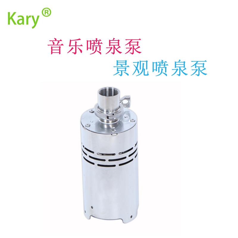 波光喷泉泵低压24v景观直流潜水泵广场音乐无刷不锈钢喷射旱喷泵