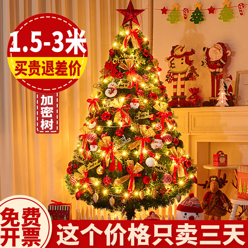 耶诞树2023新款家用摆件diy装饰品套餐仿真耶诞节发光落地led3米