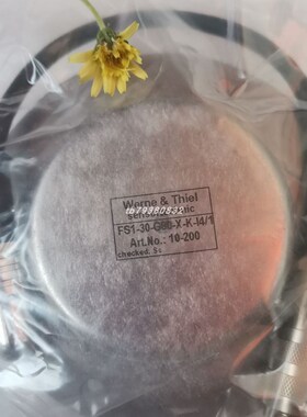 WERNE THIEL FS1-30-G80-X-K-I4/1探头