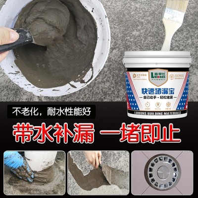 雷邦仕水不漏堵漏王快干水泥卫生间屋顶裂缝防渗水胶堵洞宝速补灵
