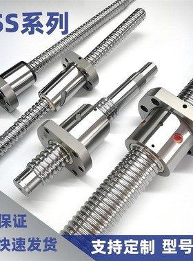 BSS BSSE BSX 1002 1004 1010-[100-450/1]导程4/10精密滚珠丝杠