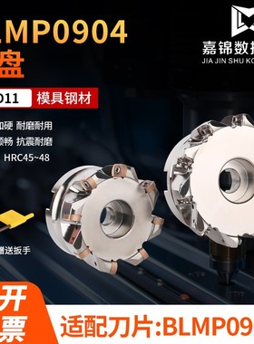 BLMP0904 内冷刀盘 出水 双面 快进给刀盘  仿形加工开粗面铣刀盘