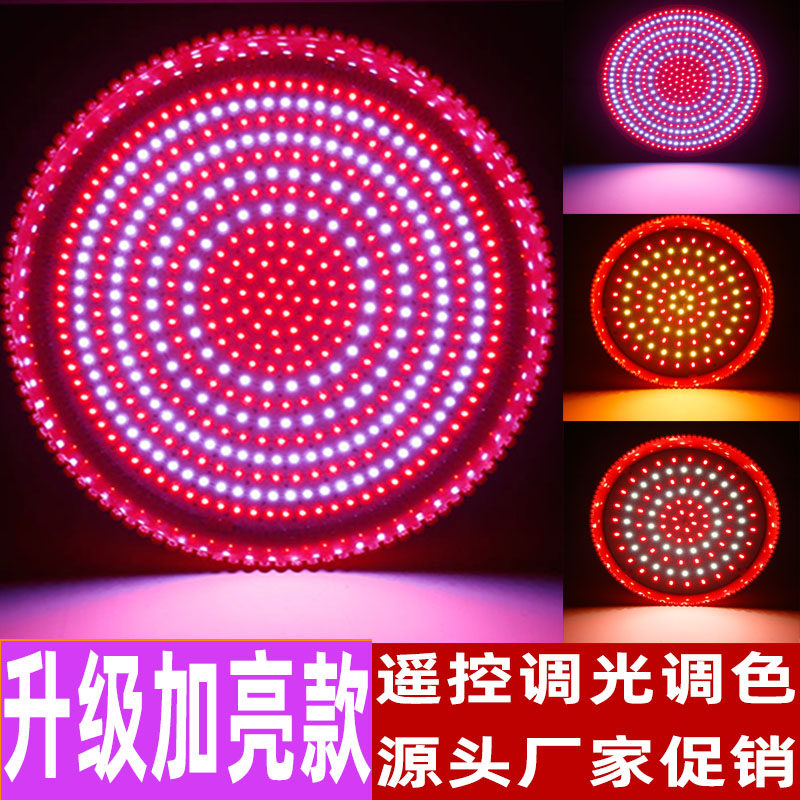 LD生鲜灯猪肉灯卤菜卤肉灯熟食店灯 超市水果鲜肉卖肉海鲜灯,家装灯饰光源,LED球泡灯,淘宝优惠券,粉丝福利购,淘宝优惠卷