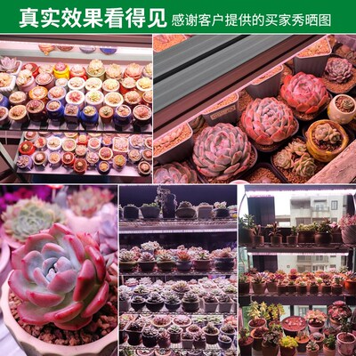 全光谱灯管生长灯一体卉温室室内多肉补光灯