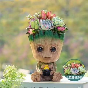 多肉植物仙人掌类格鲁特仙人球盆栽办公室内桌面好养开花绿植礼物