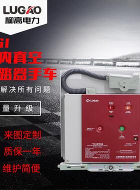 出口11V户内高压真空断路器ZN63手车式固封筒装式真空断路器VS1