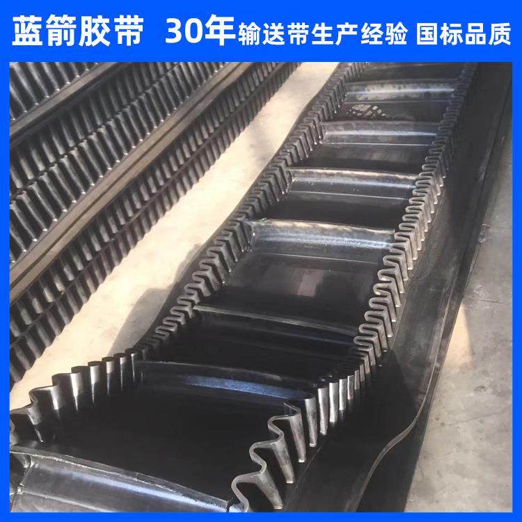 河北大倾角输送皮带B650裙边S160隔板TC140波状挡板运输带,标准件/零部件/工业耗材,输送带/传送带,淘宝优惠券,粉丝福利购,淘宝优惠卷