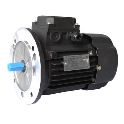 三相交流异步电动机180W|YS6324(AO2-6324)|4极0.18kw电机