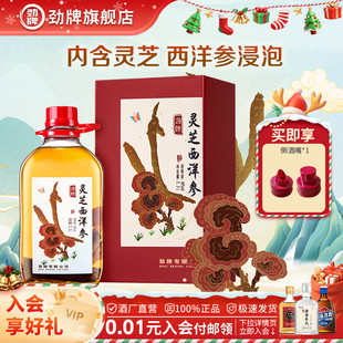 劲牌灵芝西洋参酒40度2.3L礼盒装 生旗舰店 送礼养正品