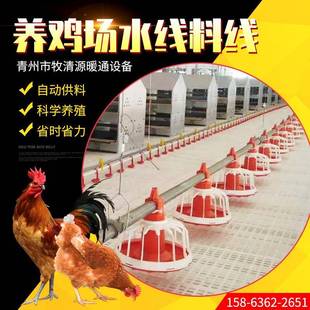 畜牧养鸡料线散养自动上料设备鸡鸭鹅平养喂料喂水线厂家