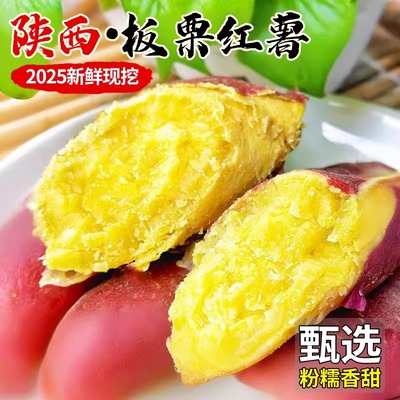正宗沙地板栗红薯陕西临潼黄心板栗薯2025新鲜粉面甜山芋农家地瓜