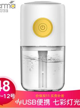 德尔玛加湿器迷你香薰空气加湿静音卧室载补水办公