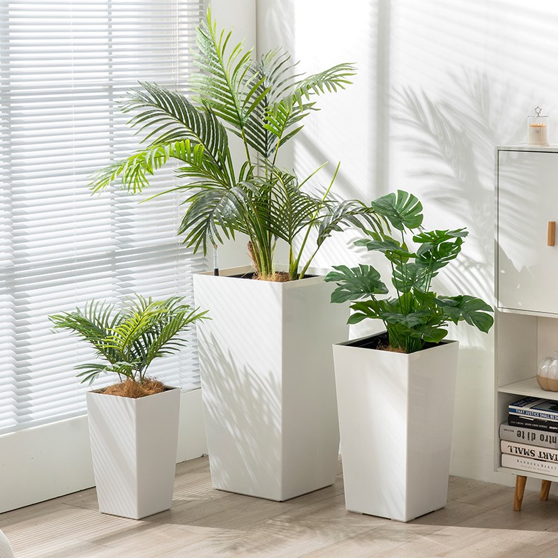 家用大花盆白色加厚自吸水客厅大绿植百合竹幸福树龙血树专用花盆