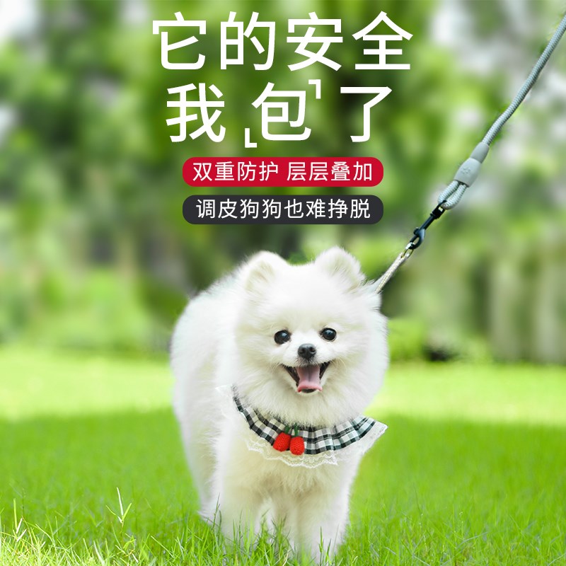 狗狗猫咪牵引绳遛狗背心小型犬链子外出背带幼犬挣脱调节宠物用品