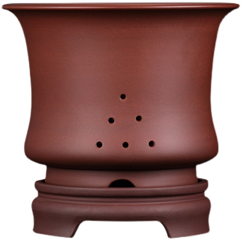 宜兴紫砂君子兰兰花矮兰兰花专用紫砂花盆室内桌面精品花盆带托盘