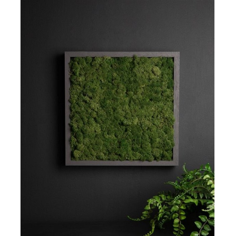 爱绿苔藓永生苔藓画定制绿色背景装饰画植物绿植挂画玄关客厅浴室图片