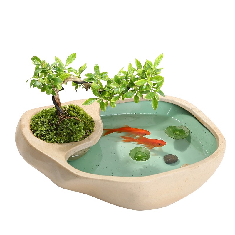 铜钱草水培花盆陶瓷盆栽盆大号创意个性水养一叶莲碗莲器皿金鱼缸