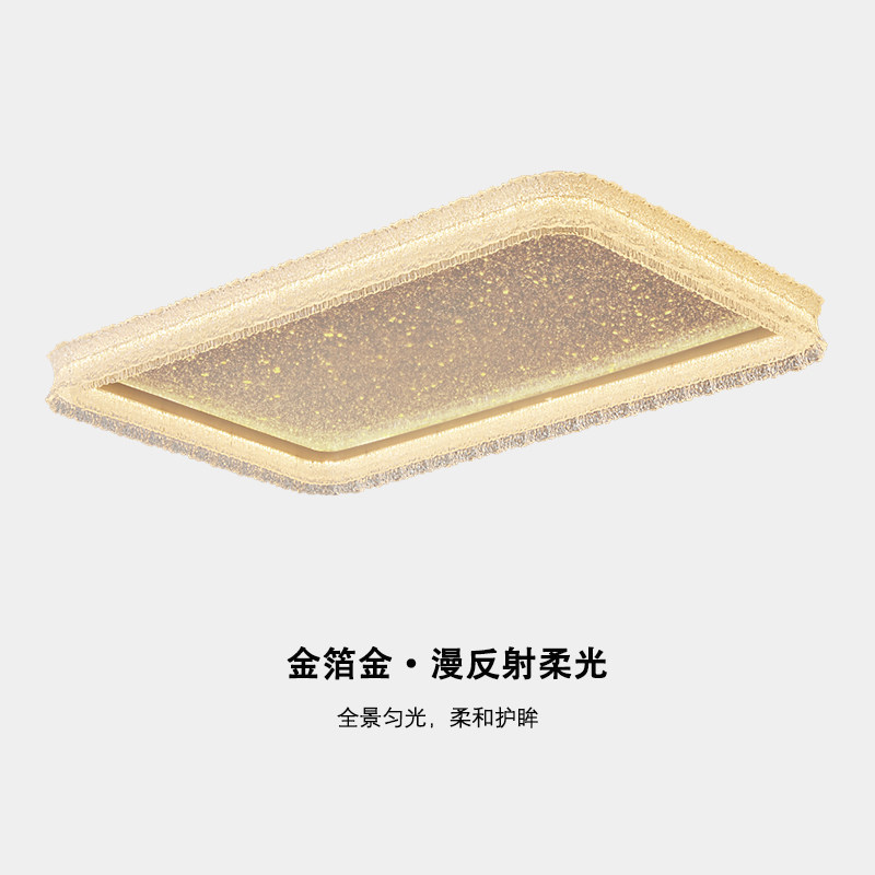 中山灯具高端大气上档次轻奢客厅吸顶灯现代简约灯体包安装智能灯