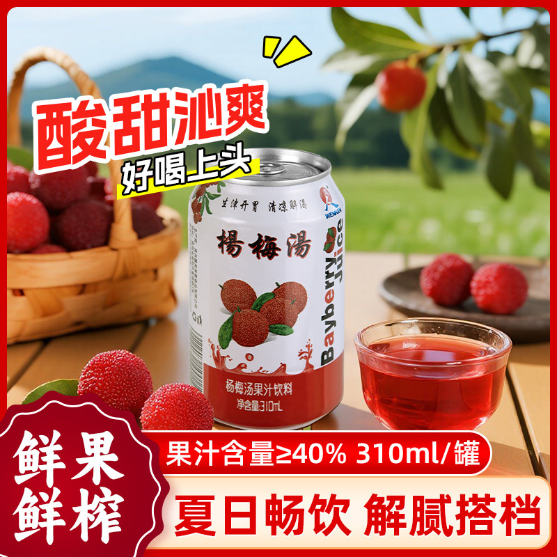 老牌子杨梅汁310ml罐装果汁饮料