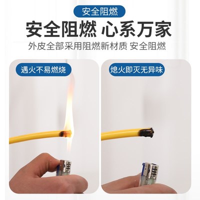 新能源汽车充电延长线2芯2.5 4平方大功率16A插头插座家用插线板