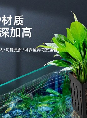 鱼缸水培红薯苗带吸盘支架水生植物鱼缸装饰盆栽生态鱼缸造景配件