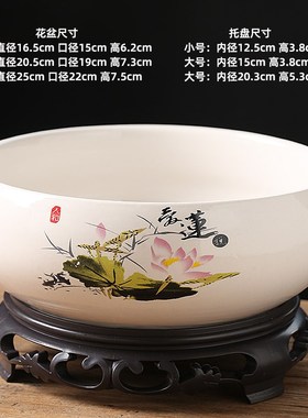 碗莲盆铜钱草专用一叶莲水培器皿睡莲盆缸水仙花盆陶瓷大号家用