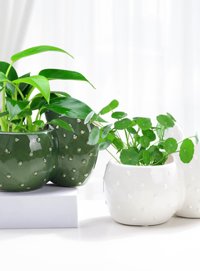 创意绿萝水培花盆器皿个性仿仙人掌大口径桌面水养铜钱草陶瓷容器