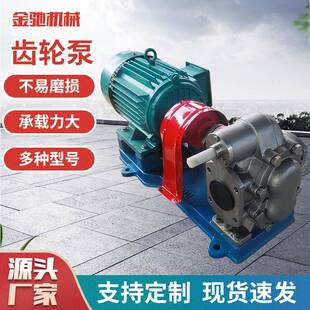 KCB300齿轮油泵化工防爆齿轮泵304不锈钢齿轮泵配防爆电机